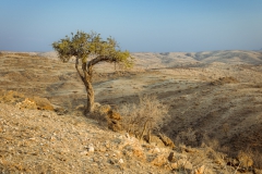Namibian Mountain Landscape
